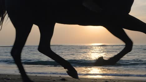 Horse-legs-running-on-beach-during-sunrise,-ungulate-animal-galloping-on-sand