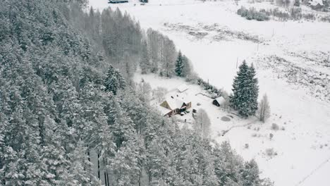 Aerial-view-snow-covered-pine-trees-and-landscape-with-a-few-houses-covered-in-snow