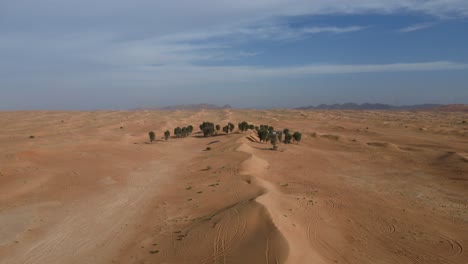 Vista-Superior:-Desierto-Con-Arena-Dorada-Y-árboles-En-Los-Emiratos-árabes-Unidos