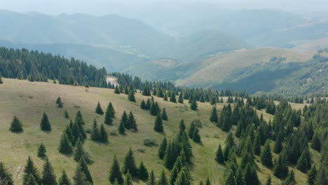 Beautiful-bright-green-landscape-of-Golija,-Serbia--aerial
