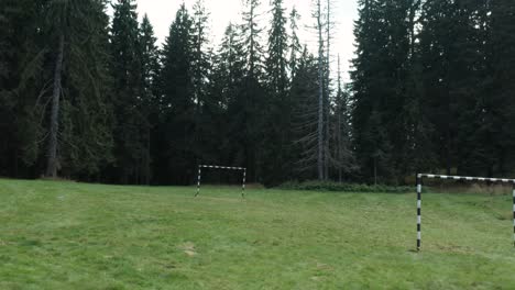 Small-football-terrain-on-the-meadow-surrounded-by-pine-forest