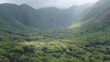 Drone-aerial-mountains-pan-up-and-down-valley-Hawaii