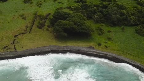 Drone-aerial-pan-down-green-forest-Hawaii