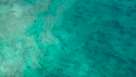Drohne-Antenne-Riff-Schnorchel-Blaues-Wasser-Strand-Schwarzer-Sand