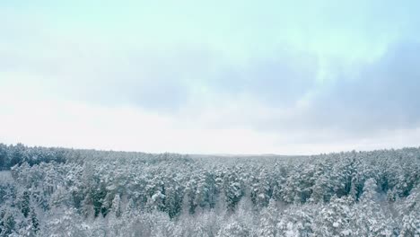 Nahaufnahme-Der-Schönen-Winterlandschaft-Mit-Bäumen,-Die-Mit-Raureif-Und-Schnee-Bedeckt-Sind,-Während-Die-Drohne-Davonfliegt