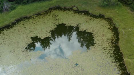 Sky-reflecting-on-tiny-green-lake-Nebeska-Suza--Tear-of-Haven-on-Golija-mountain,-Ivanjica,-Serbia