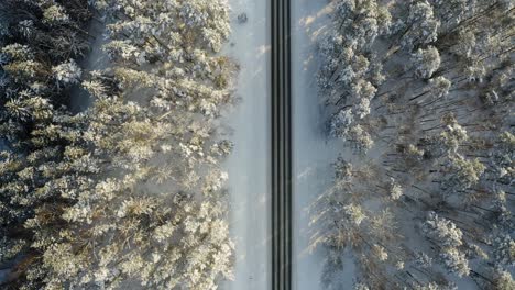 Schneebedeckte-Straße-Mit-Mattierten-Bäumen-Bei-Sonnenaufgang