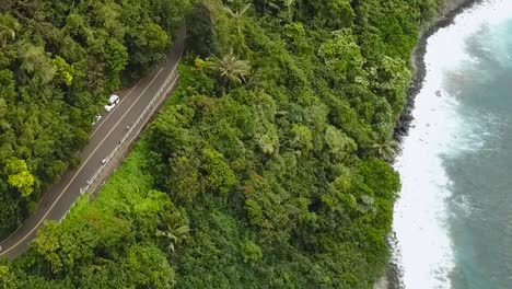 Drohne-Luft-Garten-Landschaft-Strandseite-Maui-Road-To-Hana