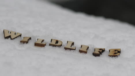 Wildlife-concept,-intro-title-written-with-wooden-letters-in-winter-snow-next-to-stream-of-water,-panning-shot
