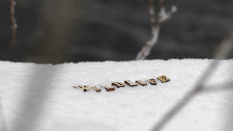 The-word-wildlife-written-with-wooden-letters-on-snow