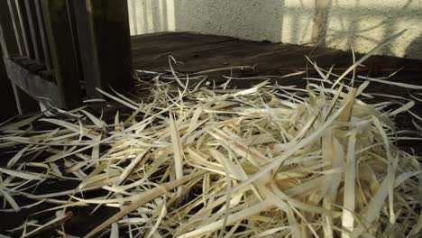 Piles-of-wood-shavings-left-over-from-making-a-traditional-welsh-basket
