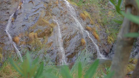 Small-waterfall-in-the-forest-between-the-rocks
