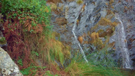 Panoramic-view-of-small-waterfall-on-the-forest-in-slow-motion