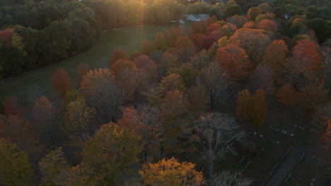 Aerial-Pan-Up-Fly-Over-Footage-over-lush-foliage-revealing-golden-sunset