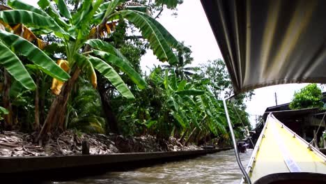 River-boat-driving-through-Bangkok-city-canals-past-luscious-green-plants-and-trees