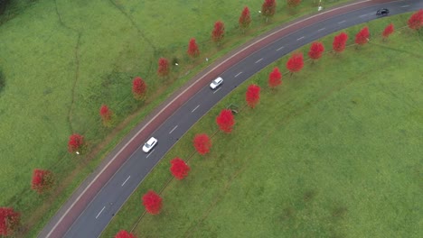Cars-driving-along-stunning-red-autumn-tree-lined-road,-aerial-pan-shot