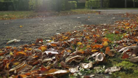 Herbstblätter-Auf-Dem-Boden,-Die-An-Einem-Sonnigen-Tag-Vom-Herbstwind-Bewegt-Werden