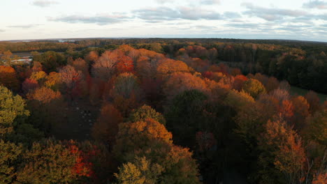 Aerial-Fly-Over-Footage-over-lush-foliage-flooded-with-golden-sunset-in-New-England