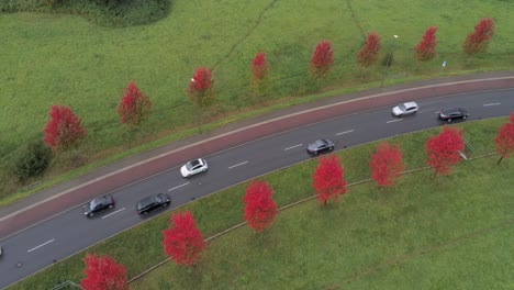 Cars-driving-along-red-tree-lined-avenue,-aerial-drone-video-crane-shot