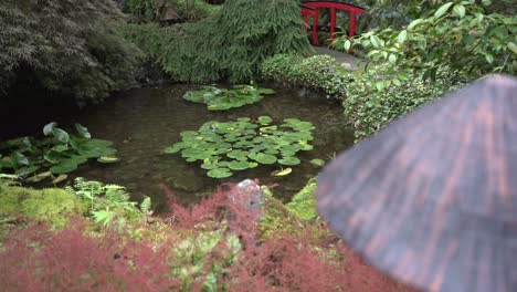Tracking-shot-of-lily-pads-laying-atop-a-miniature-pond-in-a-public-Japanese-garden-during-autumn