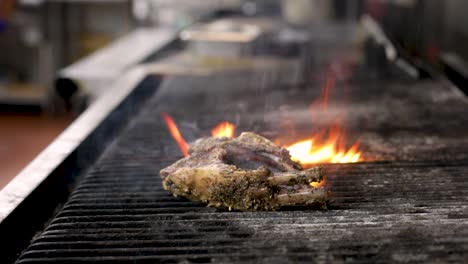 Blazing-Fire-In-The-Char-griller---Cooking-Lambchops---close-up