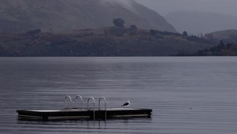 Ein-Regnerischer-Tag-In-Neuseeland-Mit-Vogel-Auf-Dem-See