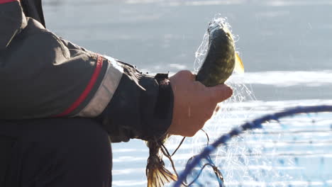 Pike-Fish-Caught-in-Fishing-net,-Close-Up,-Slow-Motion