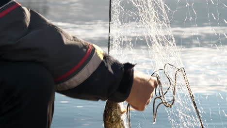 Nahaufnahme-Von-Männlichen-Händen-Und-Hechtfischen,-Die-Am-Wasser-Im-Fischernetz-Stecken