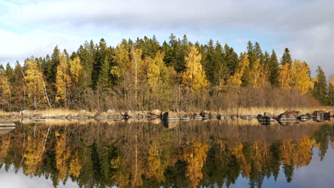 Autumnal-nordic-forest-on-water-with-reflection,-shot-from-boat