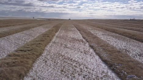 Aerial:-Dramatic-clouds,-horizon-and-tidy-rows-of-snowy-wheat-swathes
