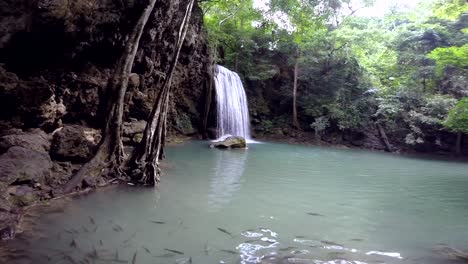 Tropical-waterfall-in-the-middle-of-a-national-park-jungle-with-school-of-fish-swimming-in-the-pool