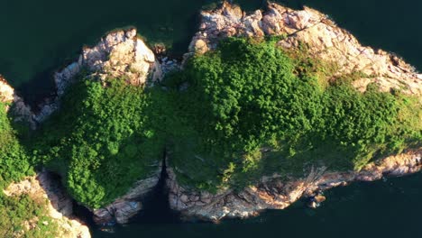 Birdseye-aerial-view-above-dense-Cheung-Chau-lush-foliage-mountain-rock-formation-island-wilderness-dolly-right