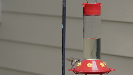 A-hummingbird-lands-on-a-bird-feeder-in-a-backyard-and-then-flies-away-in-slow-motion