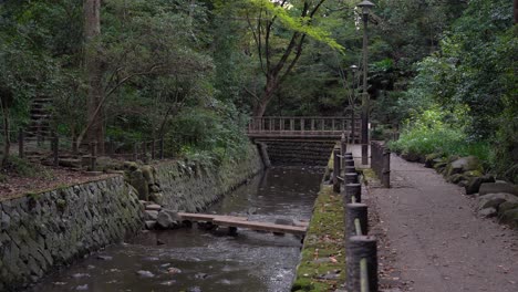 Männlicher-Wanderer,-Der-über-Die-Brücke-Im-Todoroki-Valley-Park-Im-Zentrum-Von-Tokio-Geht