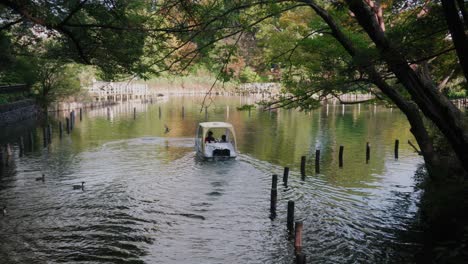 Un-Bote-De-Remos-Navegando-Por-Las-Tranquilas-Aguas-Del-Lago-Desde-El-Parque-Senzokuike-Con-Patos-Nadando-En-Tokio,-Japón