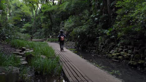 Excursionista-Masculino-Caminando-Por-El-Camino-Dentro-Del-Parque-Del-Valle-De-Todoroki-En-El-Centro-De-Tokio