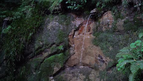 Langsame-Neigung-über-Den-Wasserfall-Des-Drachenbrunnens,-Der-Von-Der-Steinmauer-Kommt