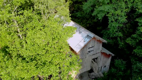 Descending-aerial-footage-of-old-abandoned-wooden-lodge-all-surrounded-by-tall-trees-in-the-middle-of-lush-green-forest