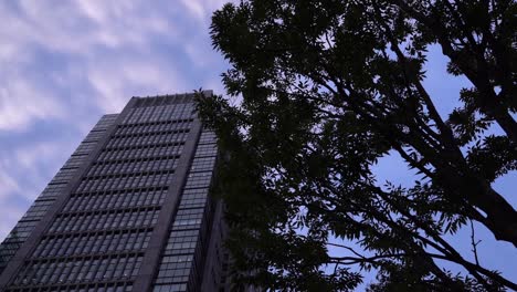 Low-angle-view-up-towards-high-skyscrapers,-trees-silhouettes-against-beautiful-cloudy-sky---Right-pan-rotating-shot