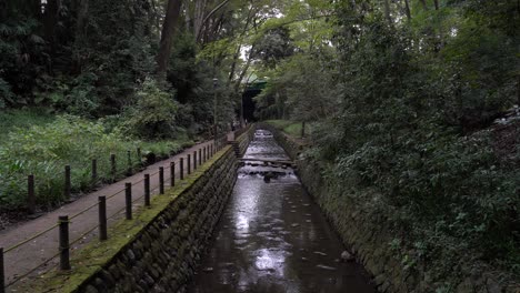 Calm-scenery-inside-Tokyo's-only-natural-Valley,-Todoroki-valley-in-the-city-center