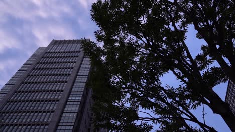 Low-angle-view-up-towards-high-skyscrapers,-trees-silhouettes-against-beautiful-cloudy-sky---Right-pan-rotating-shot-in-slow-motion