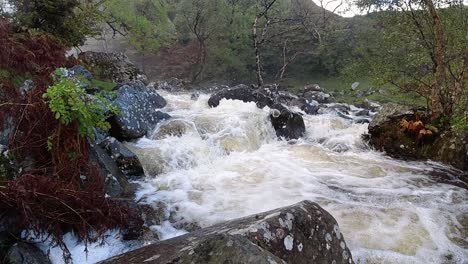Slow-motion-powerful-rapid-flowing-water-over-rocky-woodland-river-wilderness