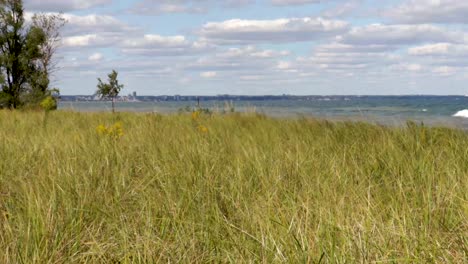 Shoreline-grasses-gently-blowing-in-the-breeze,-with-crashing-waves-and-cityscape-in-the-background