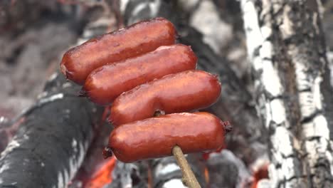 Barbecue-sausages-on-sticks