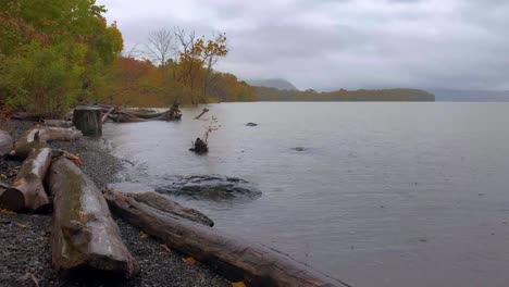 A-rainy-coast-with-driftwood-during-fall-in-new-york's-hudson-valley-with-driftwood-in-the-foreground-and-mountains-in-the-background