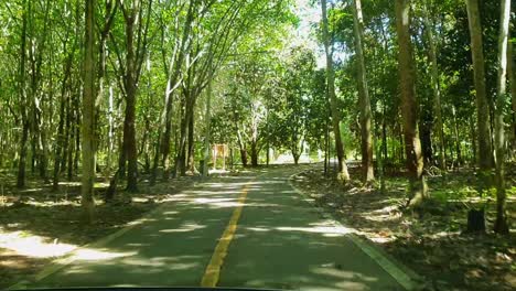 Pov:-Autofahren-Auf-Einer-Waldstraße-Im-Dschungel-Auf-Der-Insel-Koh-Chang,-Thailand,-Asien