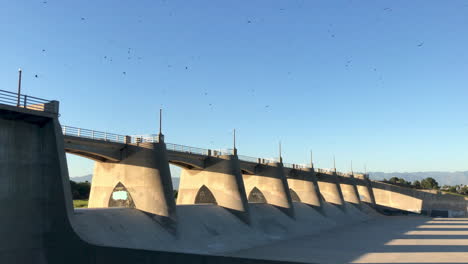 Lots-of-birds-fly-in-circles-above-the-Supulveda-dam-concrete-la-river-structure-during-sunset