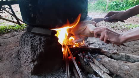 Close-up-of-hands-roasting-chicken-over-campfire