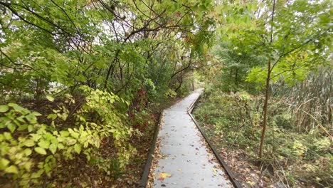 Footpath-through-an-autumn-forest-on-a-rainy-day-in-new-york's-hudson-valley