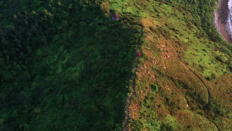 Aerial-rotation-high-angle-looking-down-above-lush-green-tropical-Lantau-island-hilltop